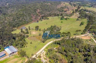 Fazenda à venda, 798600 m² por r$ 9.900.000,00 - borda do campo - são josé dos pinhais/pr