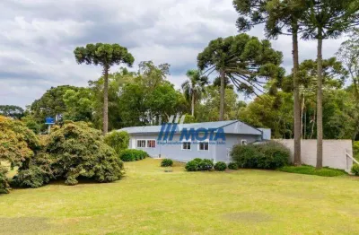 Chácara a venda  5.000,00m2, na região urbana da borda  do campo, casa 170,00m2, casa de hospede e barracão.