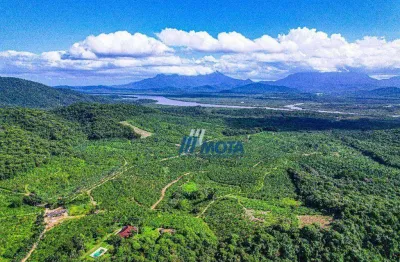 Fazenda ideal para resort, hotel fazenda, turismo e demais empreendimentos, com 349,1 hectaresatualmente formada com plantação de bananas e palmitos