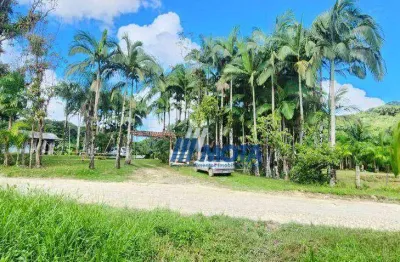 Sitio a venda antonina com 47 hectares com casa sede, casa caseiro, tanques e plantação de palmitos