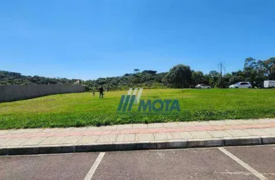 Apartamento à venda, 45 m² por r$ 160.000,00 - bom jesus - campo largo/pr