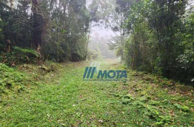 Ótima área a venda campo largo com 11,8 alqueires com nascentes e córrego que passa pela área, estradas interna,