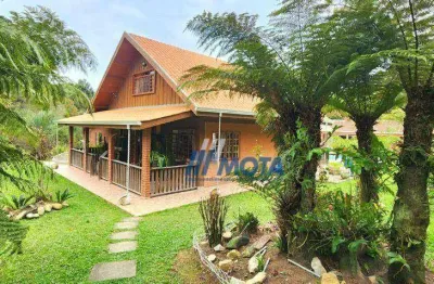 Chácara com 3 dormitórios, piscina,  à venda, 36300 m² por r$ 750.000 - são joão caíva - lapa/pr