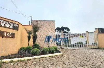 Chácara com 2 dormitórios à venda, 2997 m² por r$ 790.000,00 - campininha  - tijucas do sul/pr
