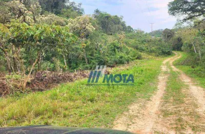 Área a vende com 20.000,00m2 bordo do campo são josé dos pinhais próximo a br277, ideal para formar chácara, lugar alto com ótima vista, com nascente