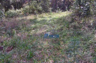 Área à venda, 216680 m² por r$ 2.100.000,00 - planta são tiago - piraquara/pr