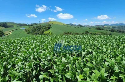 Sítio com 2 dormitórios à venda, 350049 m² por R$ 2.590.000,00 - Ouro Fino de Baixo - Campo Magro/PR