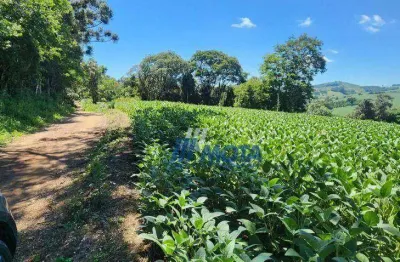 Sítio a venda Campo Magro  com  451.736 m², por R$ 1.700.000 - ou seja 18,6 alqueires ideal para morar, lazer, explorar o turismo rural e demais inves