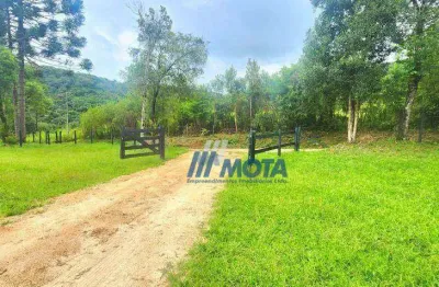 Ara para chácara Campo Largo com 21.796,00m2 com linda vista panorâmica para serra do São Luiz do Purunã, toda cercada com portão de entrada, rua de s