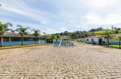Área à venda, 252406 m² por r$ 8.500.000,00 - mandassaia - campina grande do sul/pr