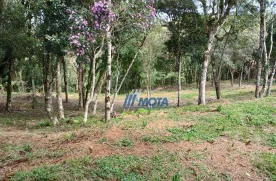 Chácara / sítio com 1 quarto à venda na Rua do Café, Planta Laranjeiras, Piraquara