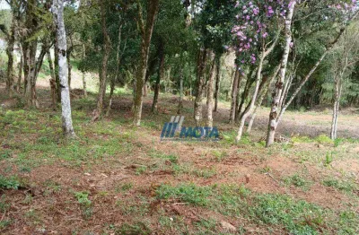 Terreno à venda na Rua do Café, Jardim Bela Vista, Piraquara