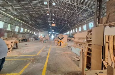 Galpão para alugar, 5000 m² por r$ 55.000,02/mês - baeta neves - são bernardo do campo/sp