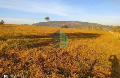 Oportunidade para investidor - terreno 6.2 hectares em itaguara - mg