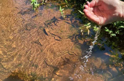 Terreno de 1856m² em juatuba/mg: oportunidade única de investimento por r$1.800.