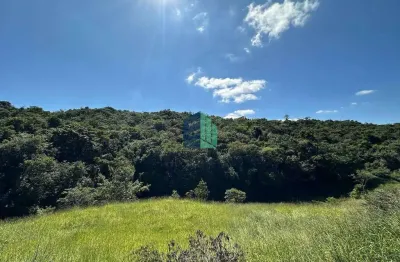 Fazenda à venda na Rua 9, 99, Azurita, Mateus Leme
