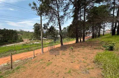 Terreno à venda na Cidade Edson, Suzano 