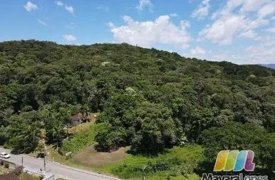 Área à venda, 25.000 m² por r$ 1.800.000 - água branca - são francisco do sul/sc
