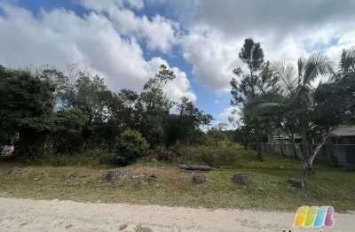 Terreno comercial à venda na Rua Estrada Geral Da Gamboa, Praia do Ervino, São Francisco do Sul