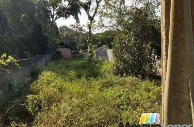 Terreno à venda, 780 m²  - paulas - são francisco do sul/sc