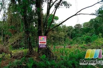 Terreno à venda, 9.000m² por r$ 400.000 - acaraí - são francisco do sul/sc