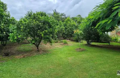 Chácara / sítio com 3 quartos à venda na Rua Binot Palmier De Goneville, Tapera, São Francisco do Sul