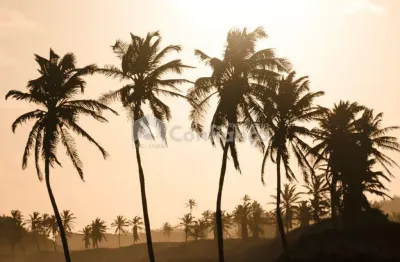 Loteamento fechado a venda na barra do cauípe em caucaia/ce