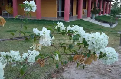 Chácara / sítio com 5 quartos à venda na Rua Tobias Correia, Centro, Caucaia