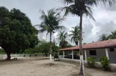 Chácara / sítio à venda na Avenida Paulo Yamazaki, Centro, Pindoretama