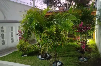 Apartamento com 1 quarto para alugar na Rua São Serapião, 623, Vila Ré, São Paulo