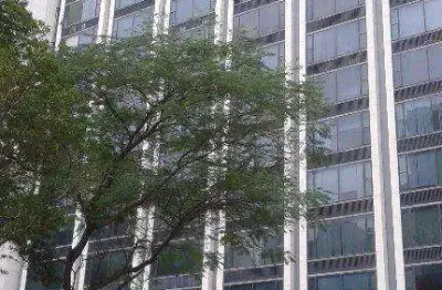 Conjunto, 562 m² - locação ou venda - cidade monções - são paulo/sp