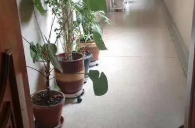 Apartamento com 3 dormitórios à venda, 120 m² por r$ 550.000,00 - tatuapé - são paulo/sp