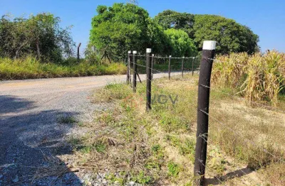 Sítio à venda, 20000 m² por r$ 350.000,00 - jd josé alves carneiro - artur nogueira/sp