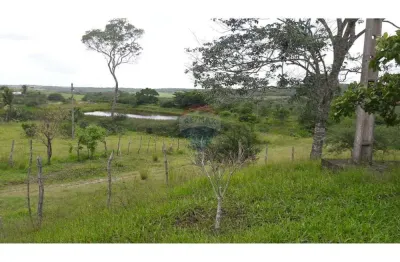 Fazenda à venda na Rua Da Palha Reta Tabajara, 001, Lagoa do Sítio II, Macaíba