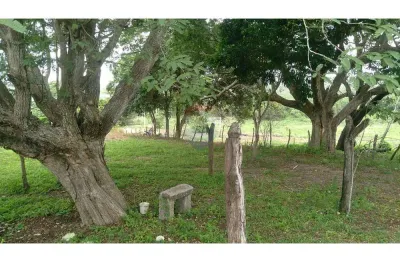 Chacara á venda com 40 hectares em maciba. excelente localizaçâo.