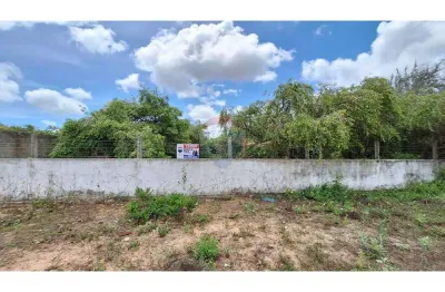 Vendo terreno com localização ideal em pium: 2000m², oportunidade única' 15 minutos da praia cotovelo.
