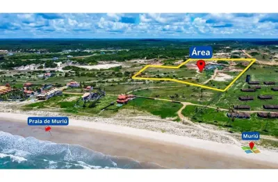 Terreno à Beira-Mar em Muriú/RN – 61.000m² com Potencial Residencial