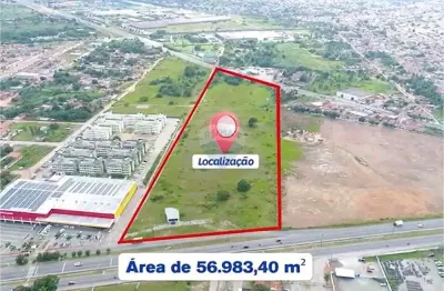 Terreno estratégico de 56.983,40 m² em são gonçalo do amarante – oportunidade para grandes projetos