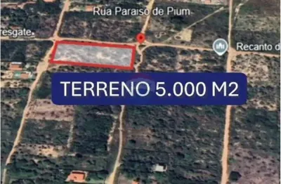 Terreno de 5.000 m2 no local com amplo potencial de crescimento!!!!