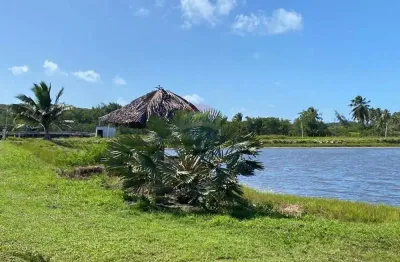 Fazenda à venda no Centro, Vila Flor 