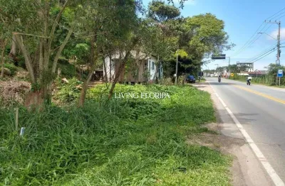 Terreno à venda na rodovia francisco thomaz dos santos, 1, pântano do sul, florianópolis por r$ 600.000