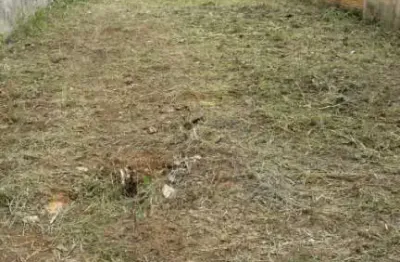 Terreno à venda, 390 m² por r$ 1.600.000,00 - jardim armênia - mogi das cruzes/sp