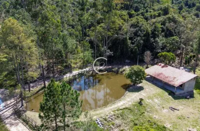 Chácara com 2 dormitórios à venda, 20.000 m² por r$ 800.000 - são luiz do paraitinga/sp