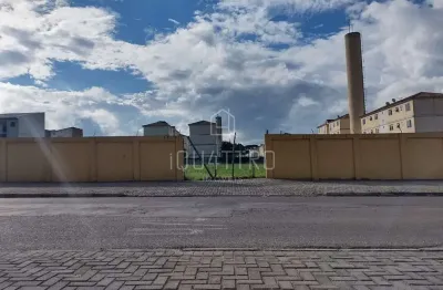 Terreno à venda na Rua Elvira Schaffer Rocha, Afonso Pena, São José dos Pinhais