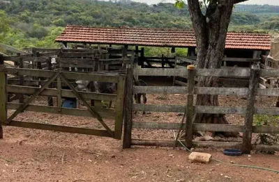 Fazenda à venda no Centro, Duartina 