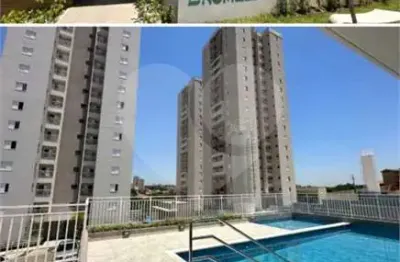 Apartamento à venda com 2 quartos, sendo 1 suíte,  no condomínio -residencial bromelia, sorocaba - sp
