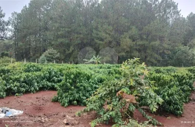 Chácara / sítio à venda na Avenida Antonio Batista De Proença, S/N, Campo Grande, Pilar do Sul