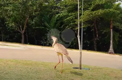 Terreno à venda no condomínio up residencial, votorantim - sp