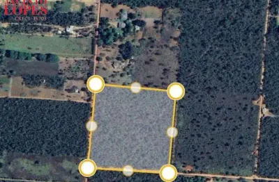 Chácara / sítio à venda na Rodovia Df- 140 Km 11, 182/183, Jardim Botânico (Lago Sul), Brasília