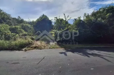 Terreno à venda no Residencial Samambaia, São Carlos 